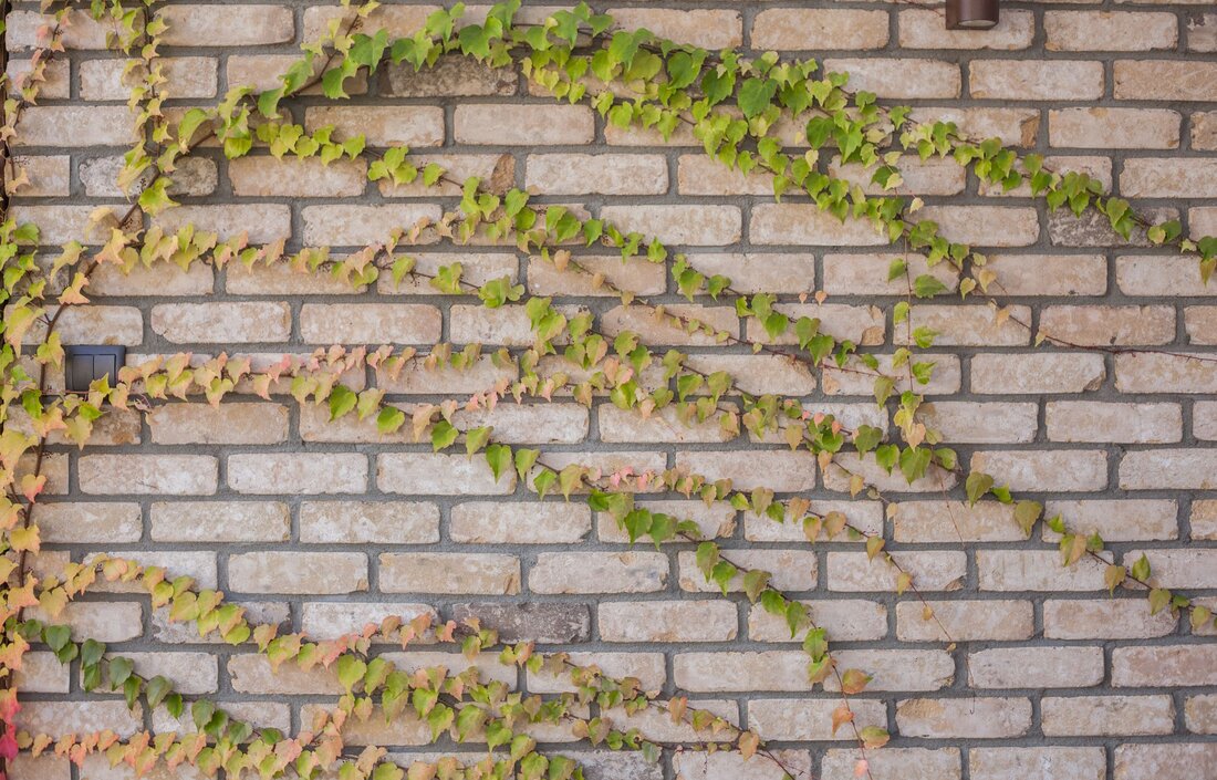 Tehlový obklad Texas na fasáde rodinného domu od Rustique.sk